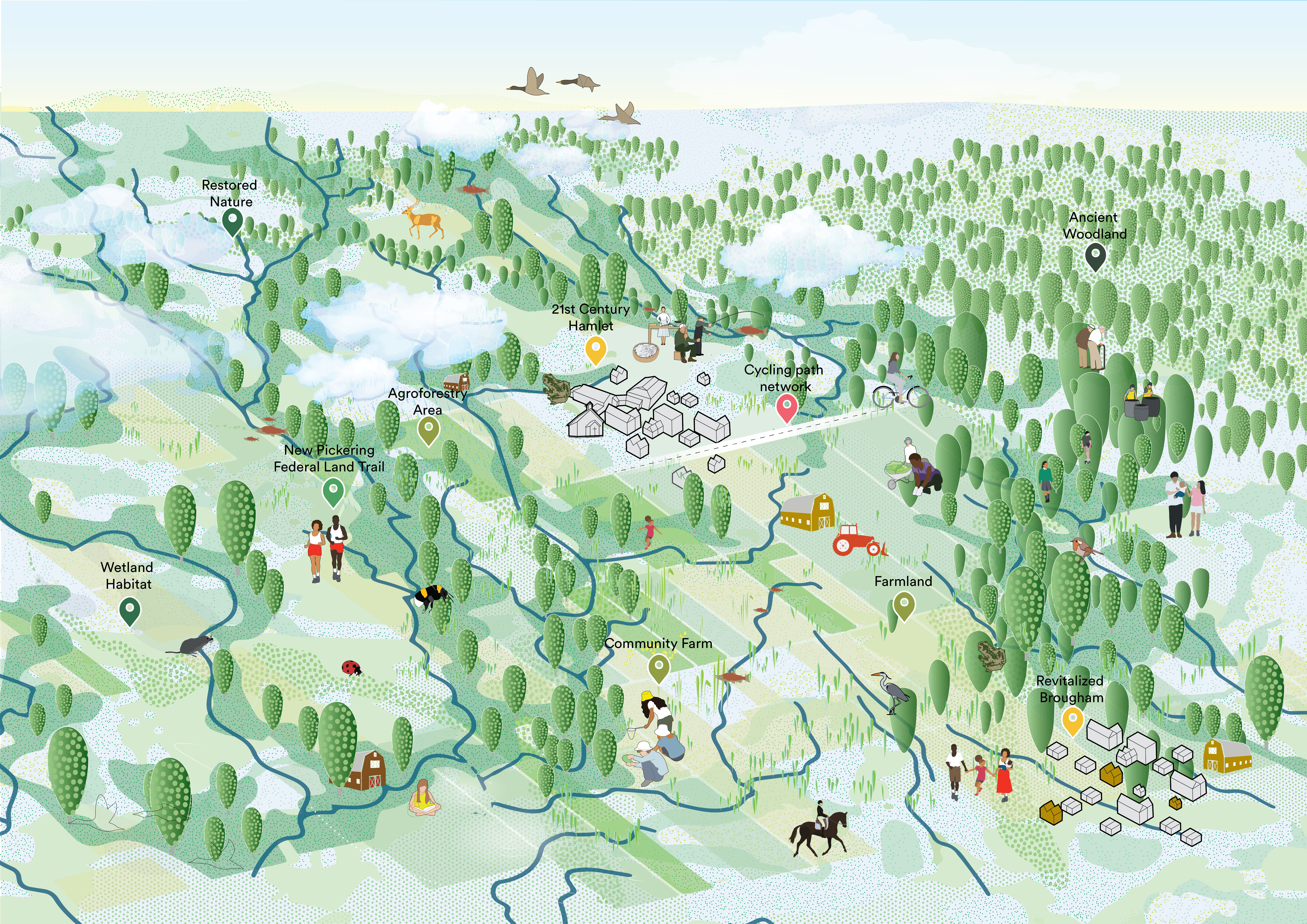 Diagram illustrating the New Rouge campaign